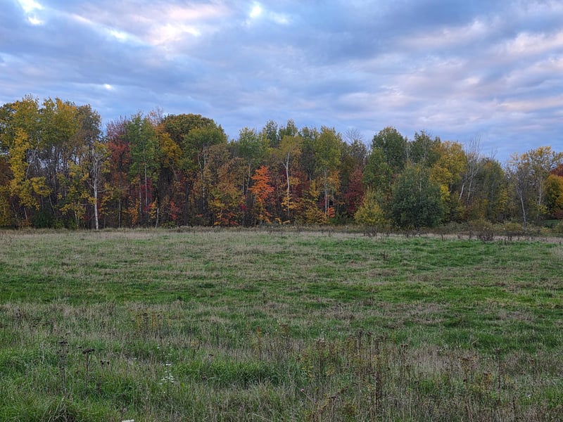 8250 Hawk Ridge Rd, Grasston, MN 55030