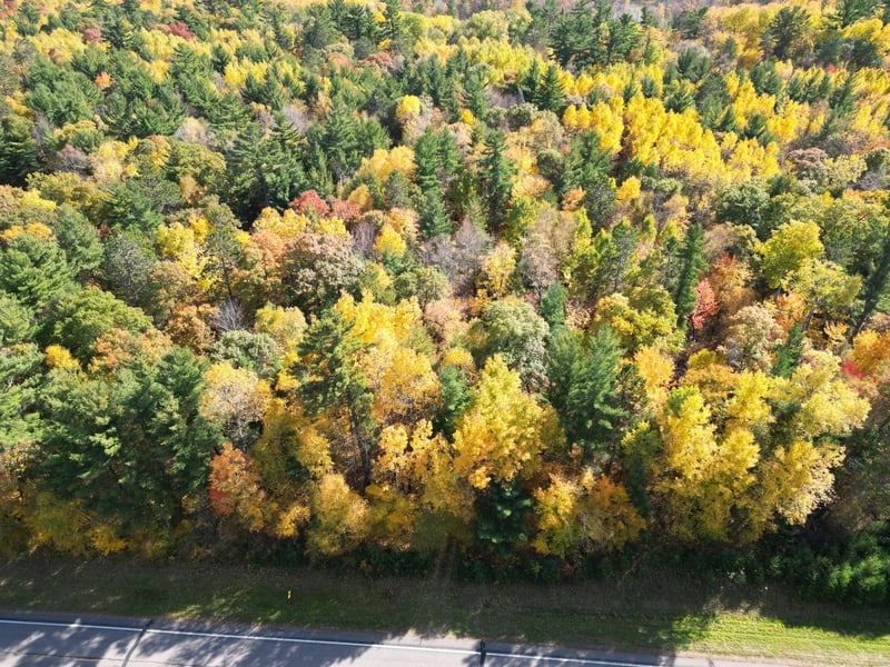 XXXX County Road 19, Merrifield, MN 56465