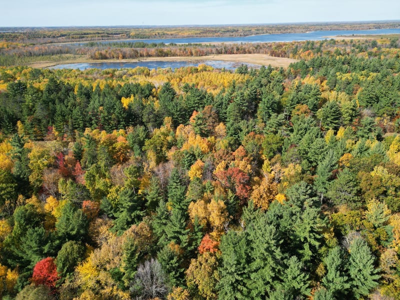XXXX County Road 19, Merrifield, MN 56465