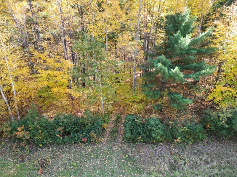 XXXX County Road 19, Merrifield, MN 56465