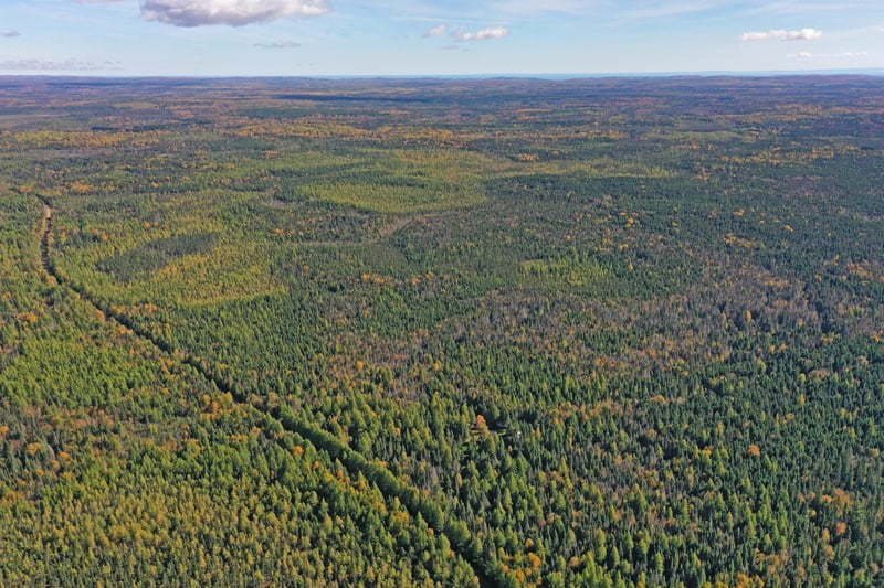 3098 Whyte Rd, Two Harbors, MN 55616