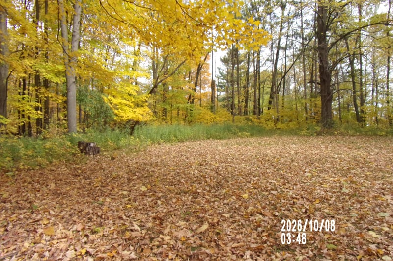 11522 Debra Ln, Ogilvie, MN 56358