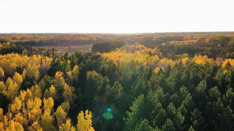 TBD40 Highway 135 N, Tower, MN 55790