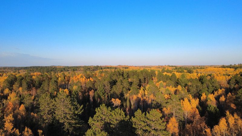 TBD40 Highway 135 N, Tower, MN 55790
