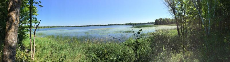 Tract 1 Lower Larson Lake Rd NW, Hackensack, MN 56452