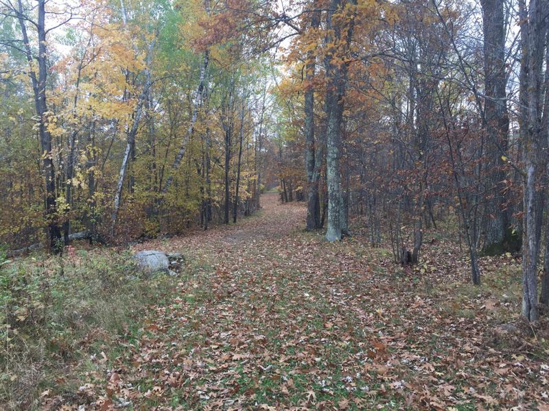 Tract 1 Lower Larson Lake Rd NW, Hackensack, MN 56452