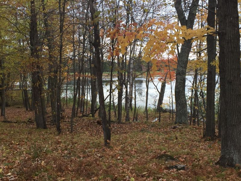 Tract 1 Lower Larson Lake Rd NW, Hackensack, MN 56452