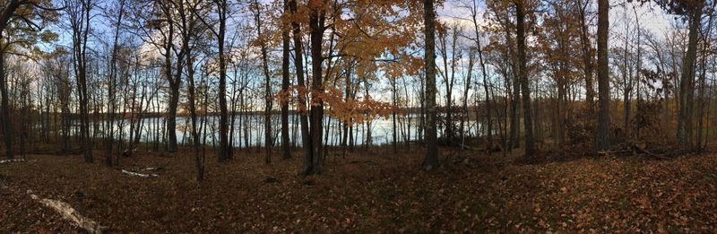 Tract 1 Lower Larson Lake Rd NW, Hackensack, MN 56452