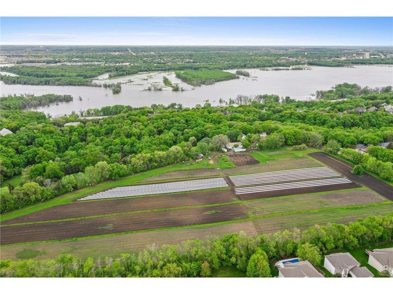 XXX1 Canopy Trl, Eden Prairie, MN 55347