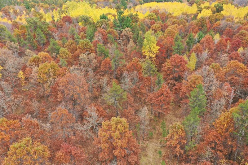 XXX Volkmann Ln, Grantsburg, WI 54840
