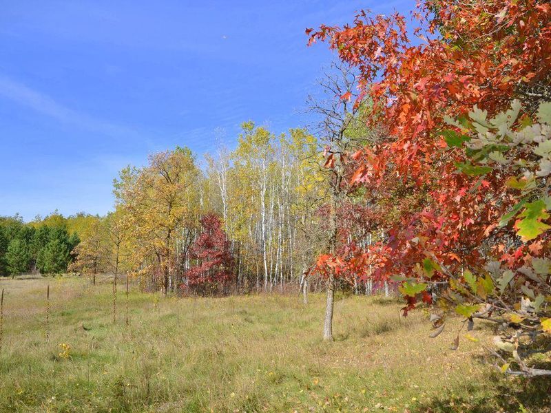 XXX Grant St, Park Rapids, MN 56470