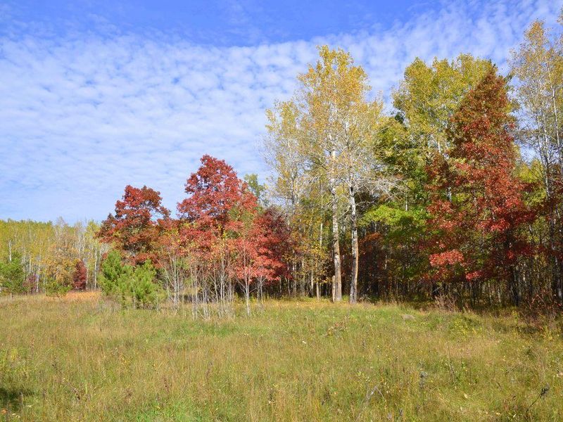 XXX Grant St, Park Rapids, MN 56470