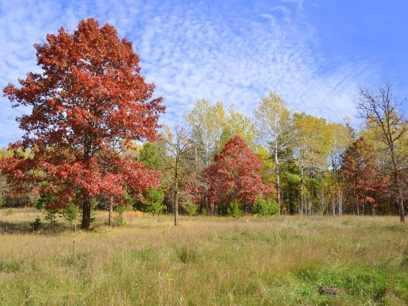 XXX Grant St, Park Rapids, MN 56470