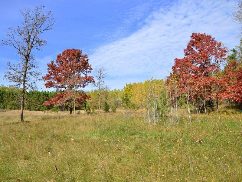XXX Grant St, Park Rapids, MN 56470