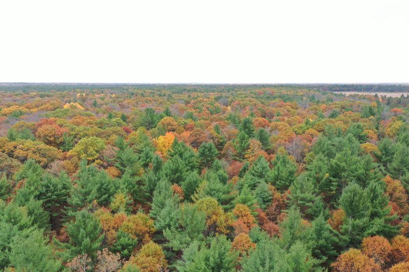 XXX Benson Rd, Grantsburg, WI 54840