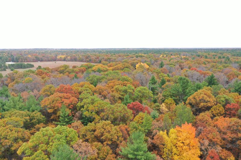 XXX Benson Rd, Grantsburg, WI 54840