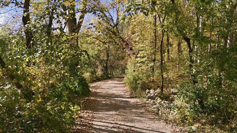 17639 Raymond Ave, Richmond, MN 56368