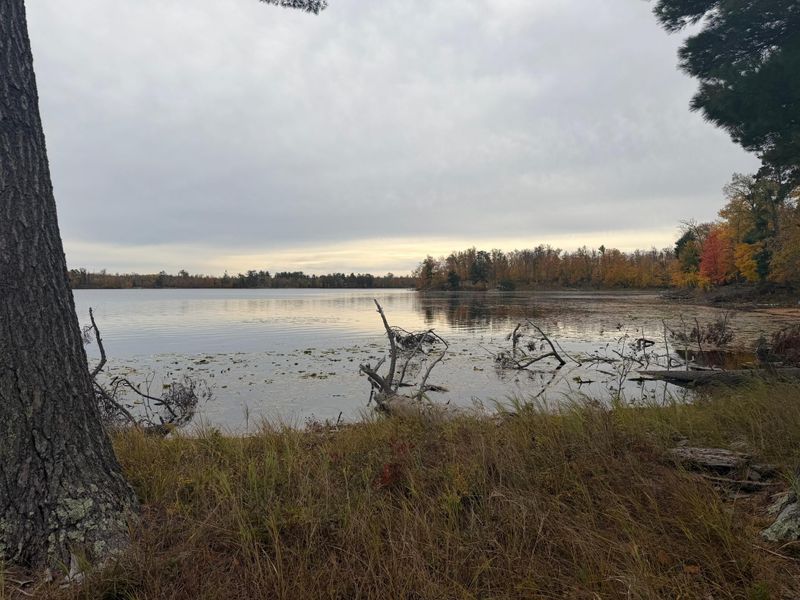 TBD Knollwood Dr NE, Bemidji, MN 56601