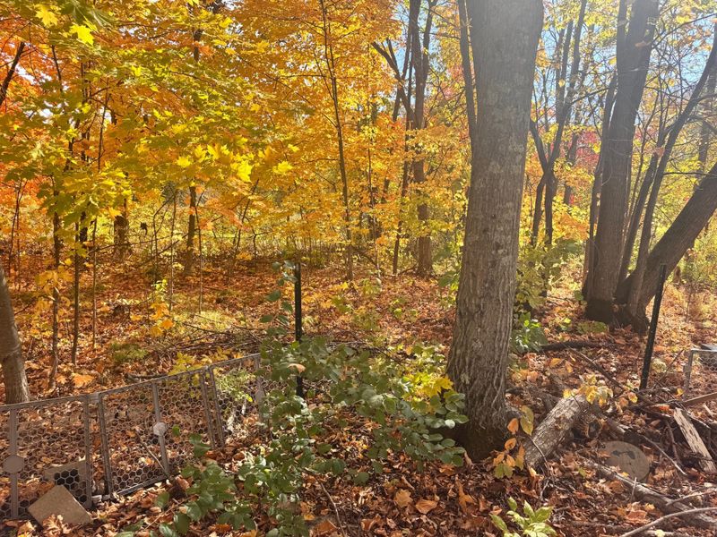 Blk 6 Lot 18 Canterbury Town, Aitkin, MN 56431