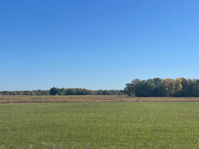 TBD XXX 85th Ave, Princeton, MN 55371