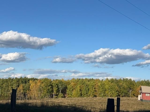 19212 Stockyard Rd, Bagley, MN 56621