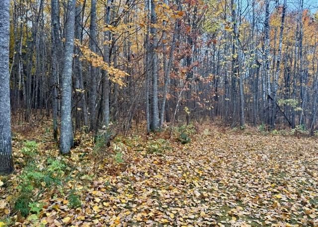31258 County Road 67, Grand Rapids, MN 55744