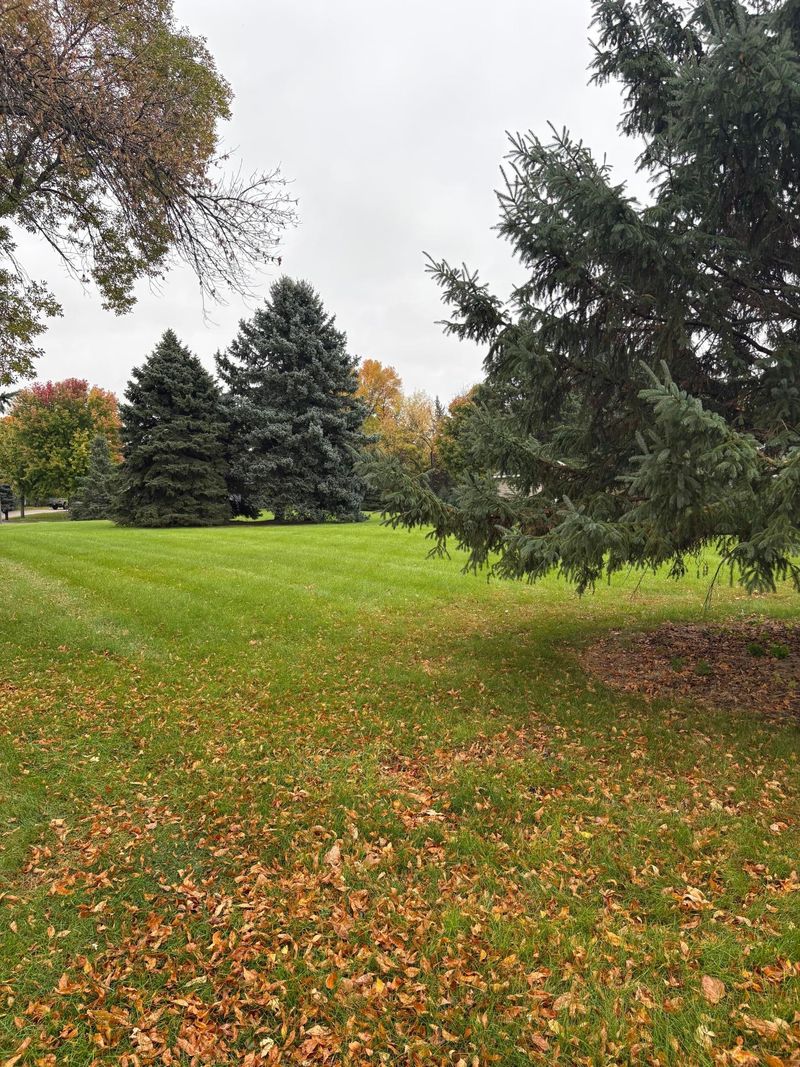 19th N 19th St, Montevideo, MN 56265