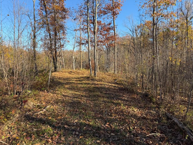 42953 335th Ln, Aitkin, MN 56431