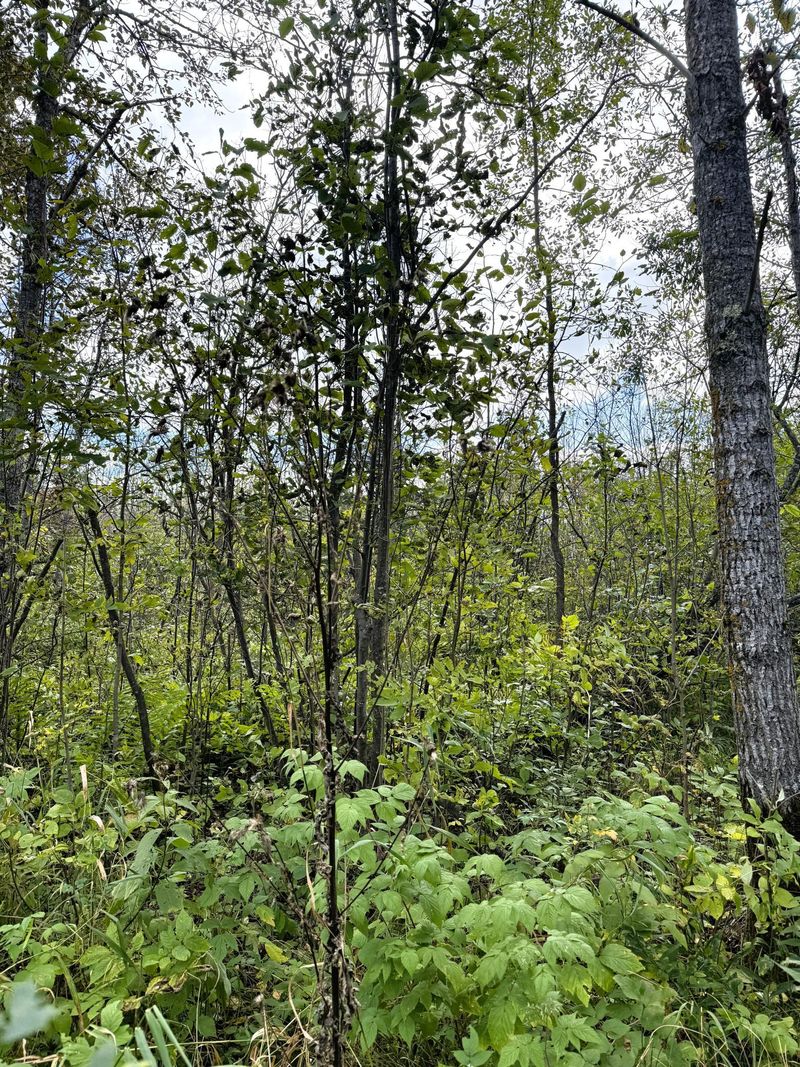 tbd Easement Trl, Barnum, MN 55707