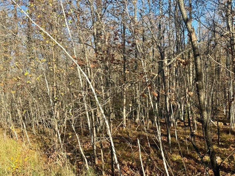 82052 Schoumaker Rd, Willow River, MN 55795