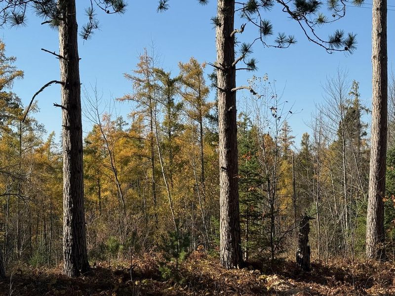 93359 Mn 23, Holyoke, MN 55749