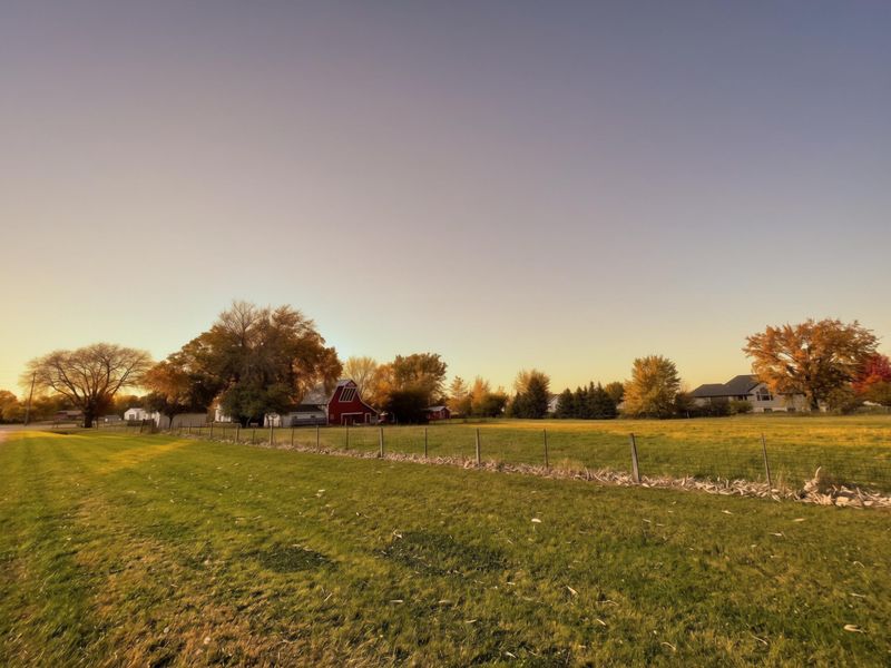 38956 County Road 24, Springfield, MN 56087