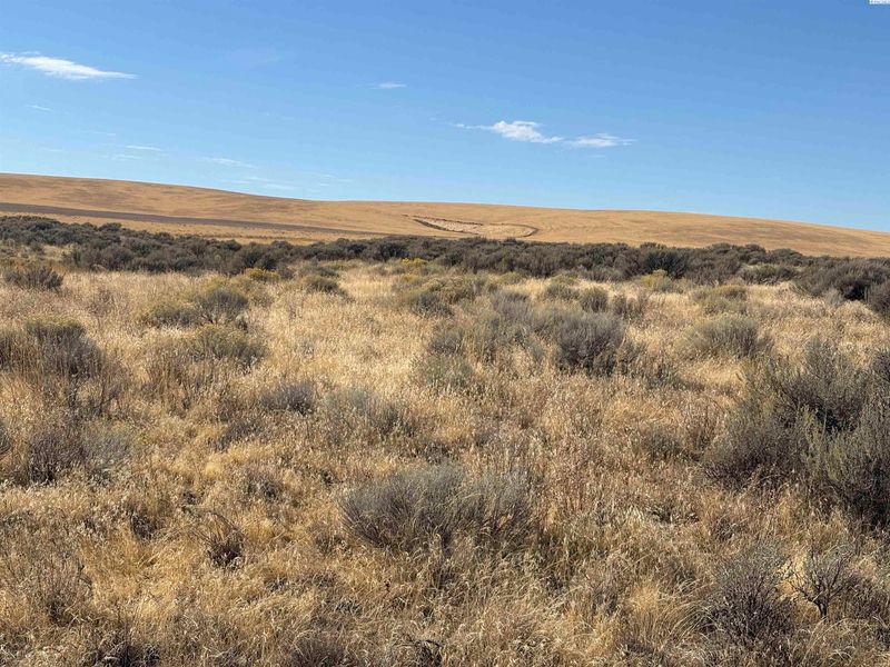 TBD 506 Pr Se, Benton City, WA 99320-1000
