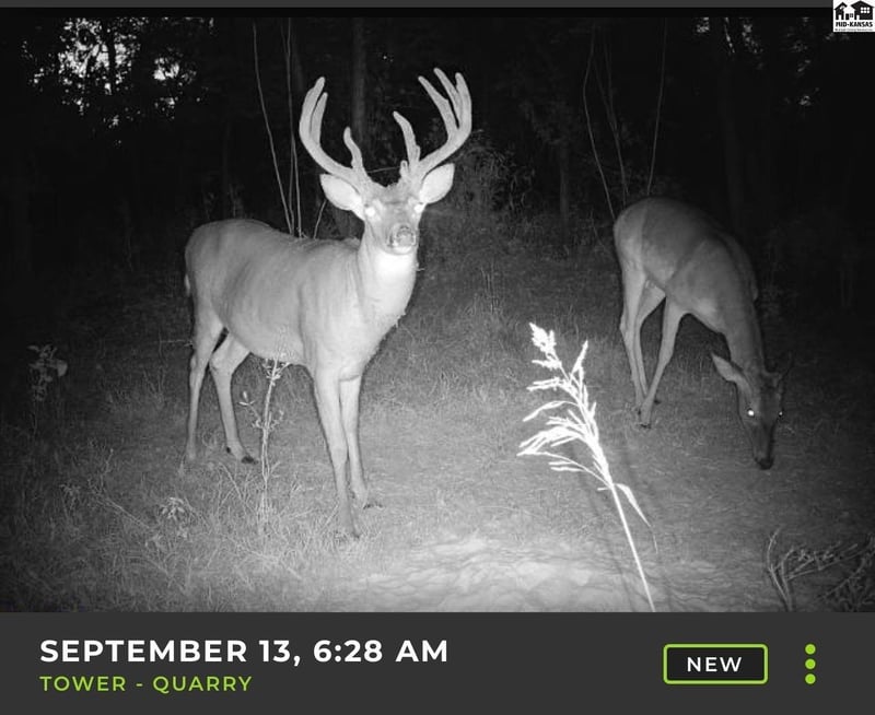 5020 N Table Mound Rd, Independence, KS 67301
