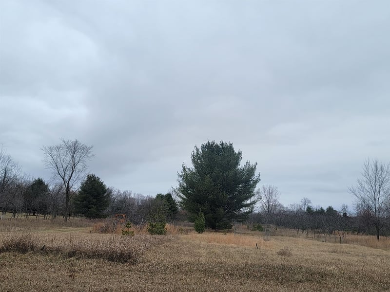 Sheridan St #2, Oconto Falls, WI 54154