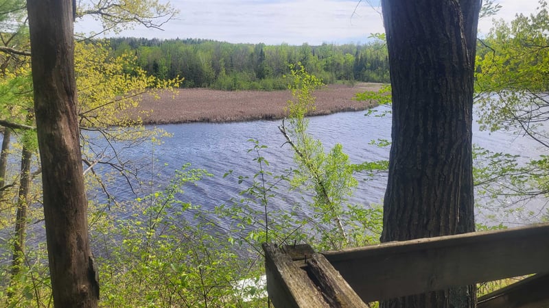 6615 Birchwood Shores Ln, Oconto Falls, WI 54154