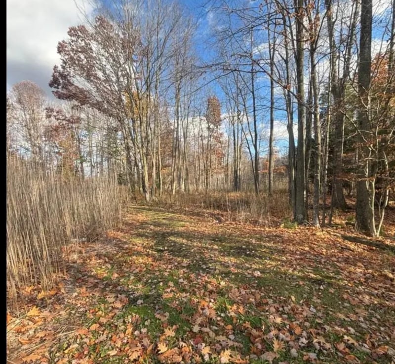 Spring Lake Dr #2, Sobieski, WI 54171