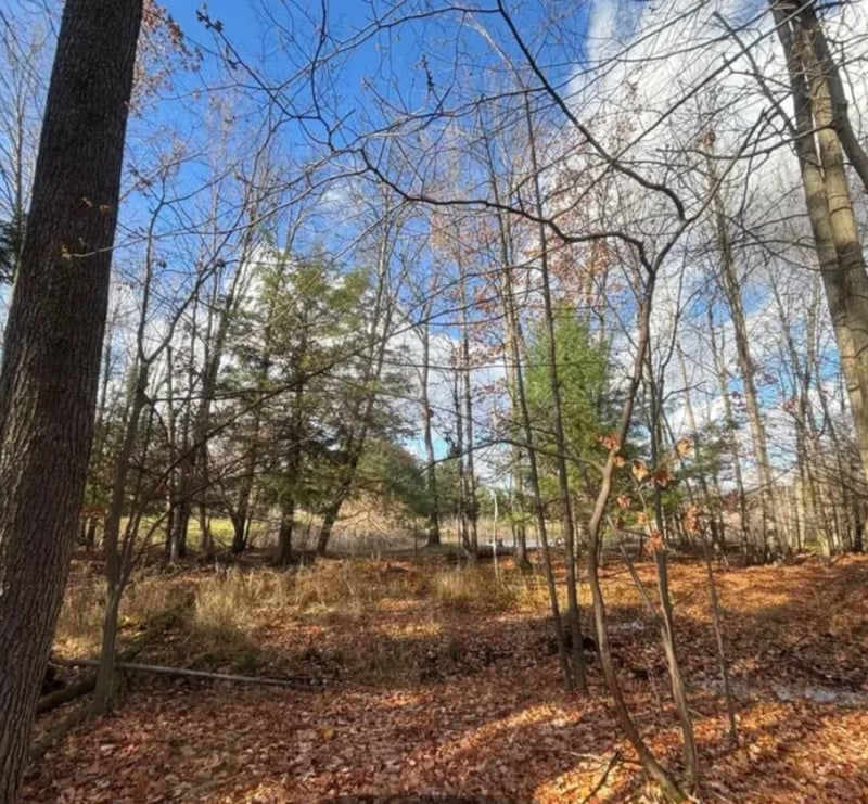 Spring Lake Dr #2, Sobieski, WI 54171