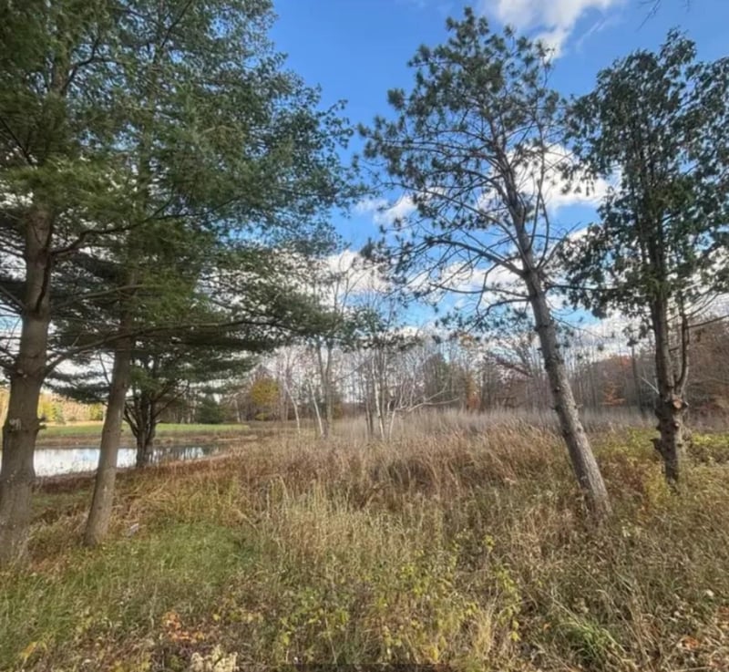 Spring Lake Dr #2, Sobieski, WI 54171
