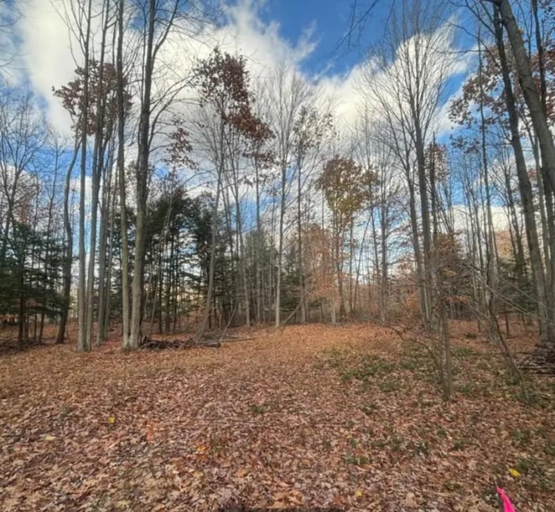 Spring Lake Dr #2, Sobieski, WI 54171