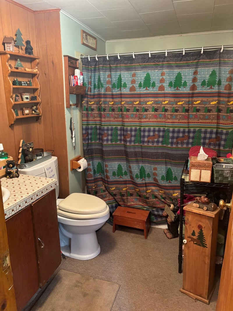 13344 State Hwy 32 64, Mountain, WI 54149