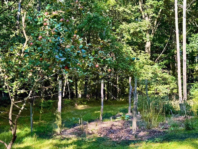 Maplewood Ln, Sobieski, WI 54171-9999