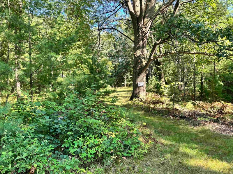 Maplewood Ln, Sobieski, WI 54171-9999