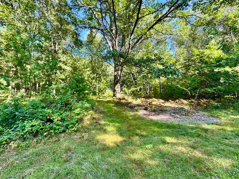 Maplewood Ln, Sobieski, WI 54171-9999