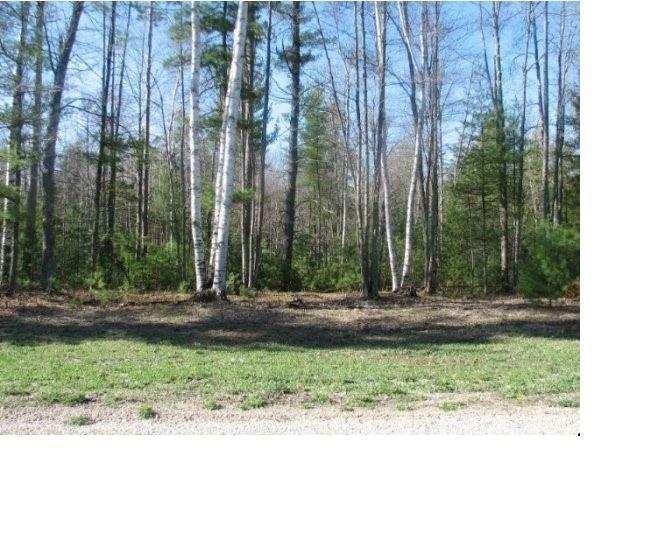 Pine Ridge Trl #12, Abrams, WI 54101