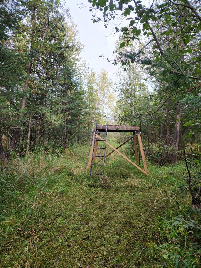 Hwy 45, Aniwa, WI 54414