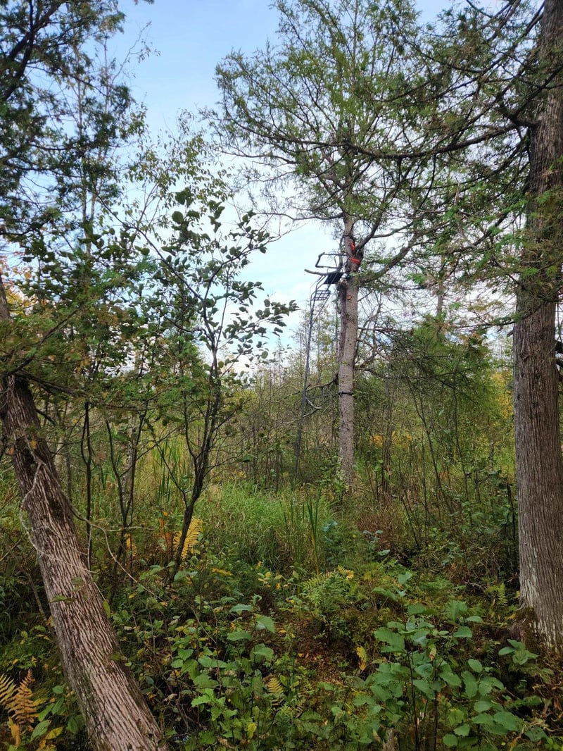 Hwy 45, Aniwa, WI 54414