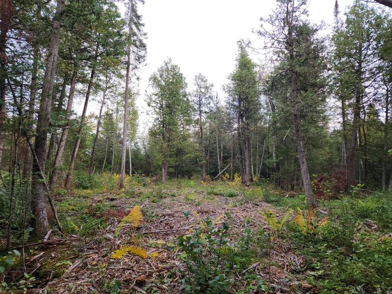 Hwy 45, Aniwa, WI 54414