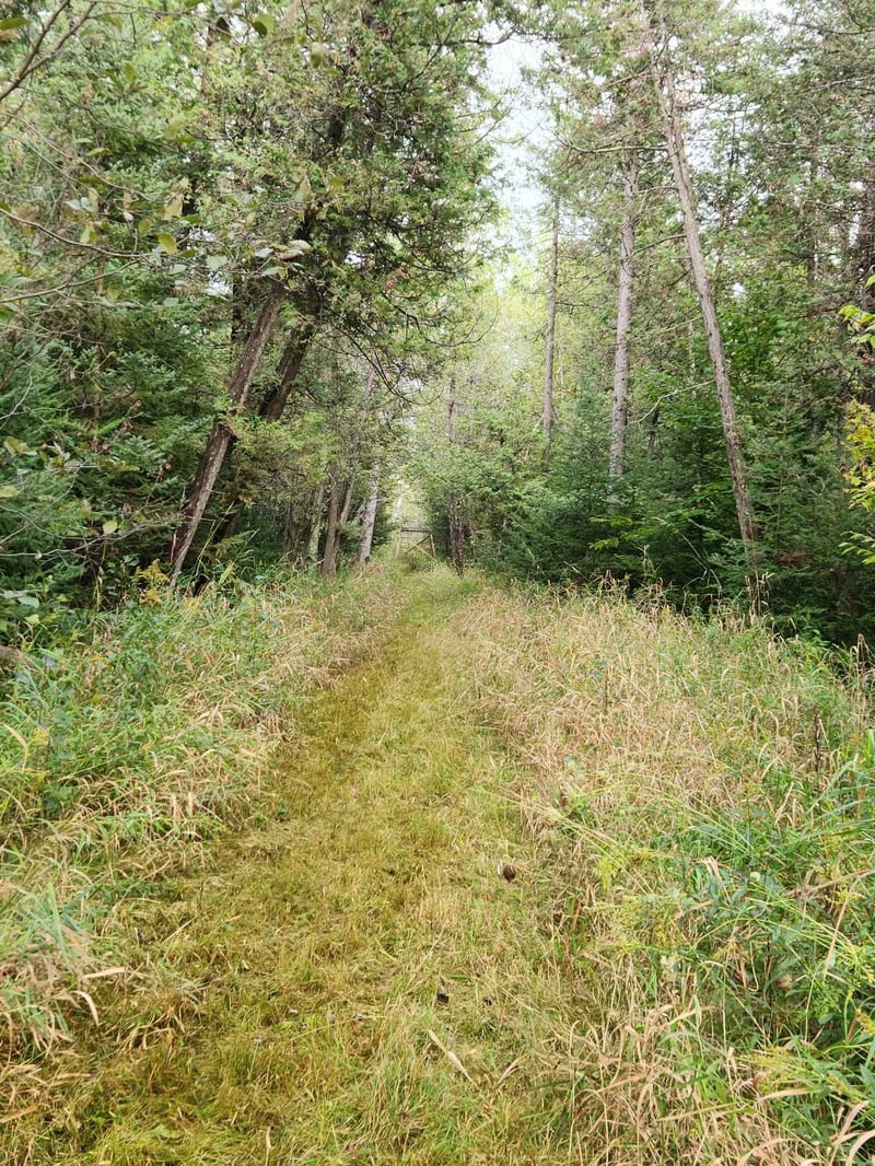 Hwy 45, Aniwa, WI 54414