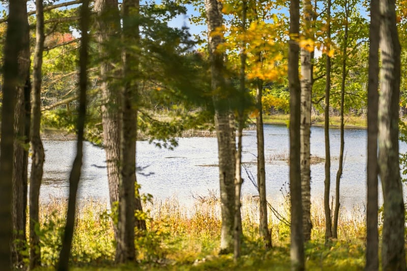 3050 Horseshoe Lake Rd, Crandon, WI 54520
